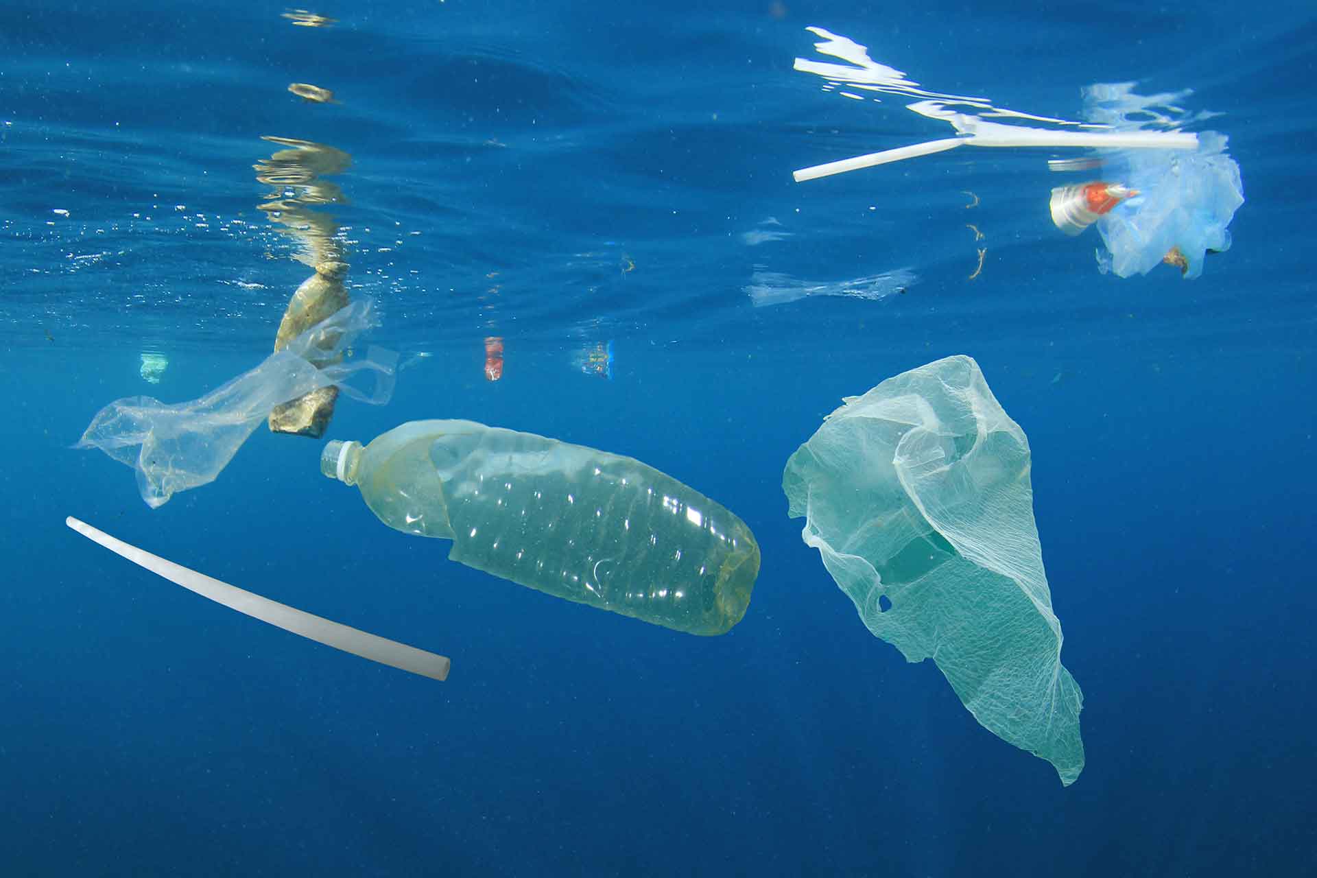 Giornata mondiale degli Oceani, la vergogna delle isole di plastica: cosa possiamo fare?