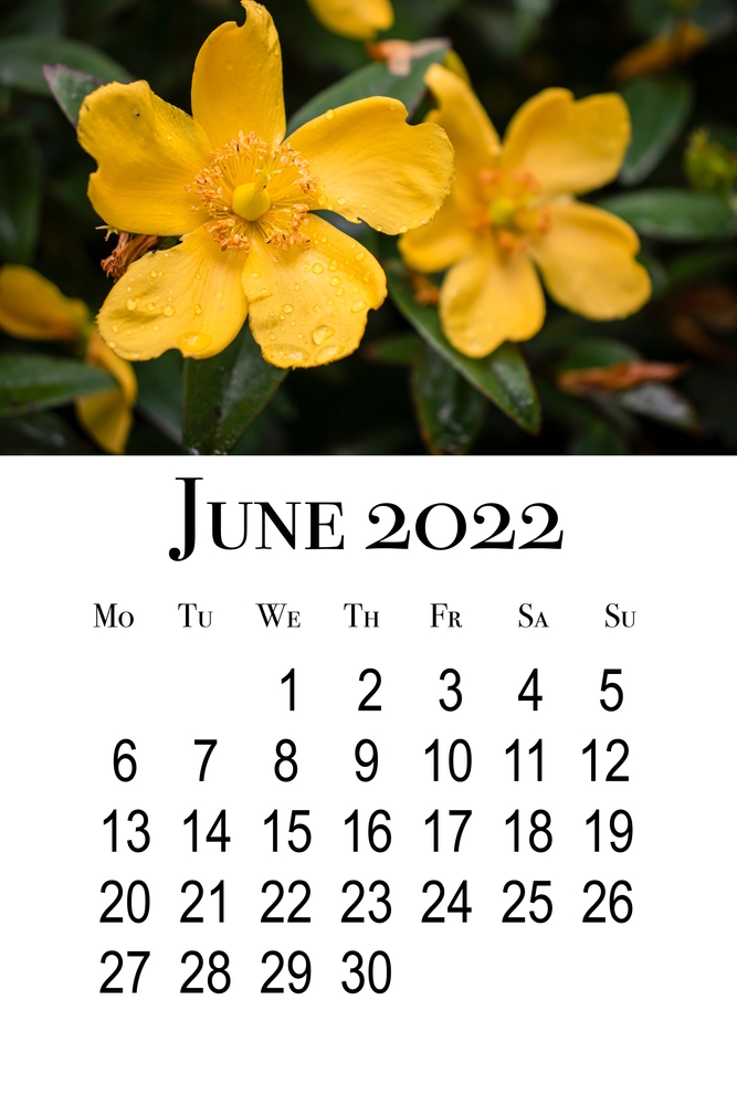 calendario-giugno-2022-da-stampare-3.jpg