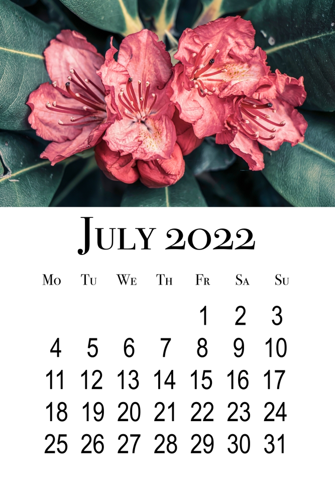 calendario-luglio-2022-da-stampare-3.jpg