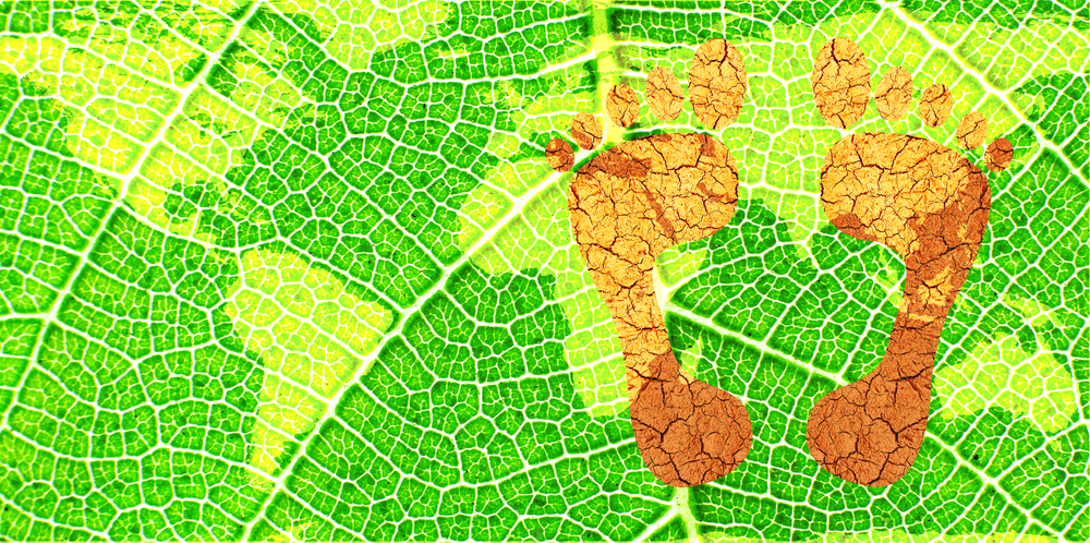 Impronta ecologica: cos'è e come si calcola per salvare l'ambiente