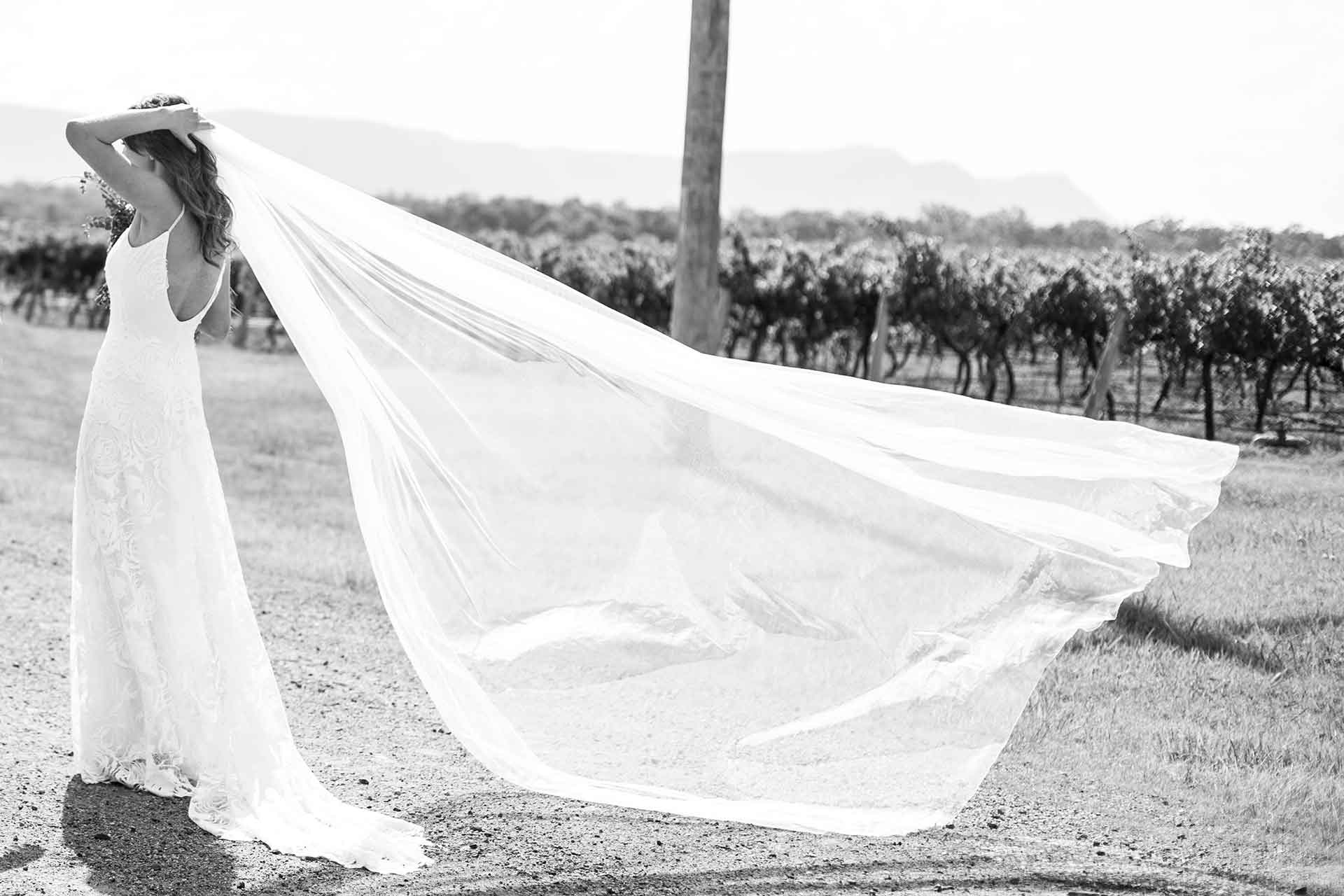 Matrimonio in vigna: come organizzarlo