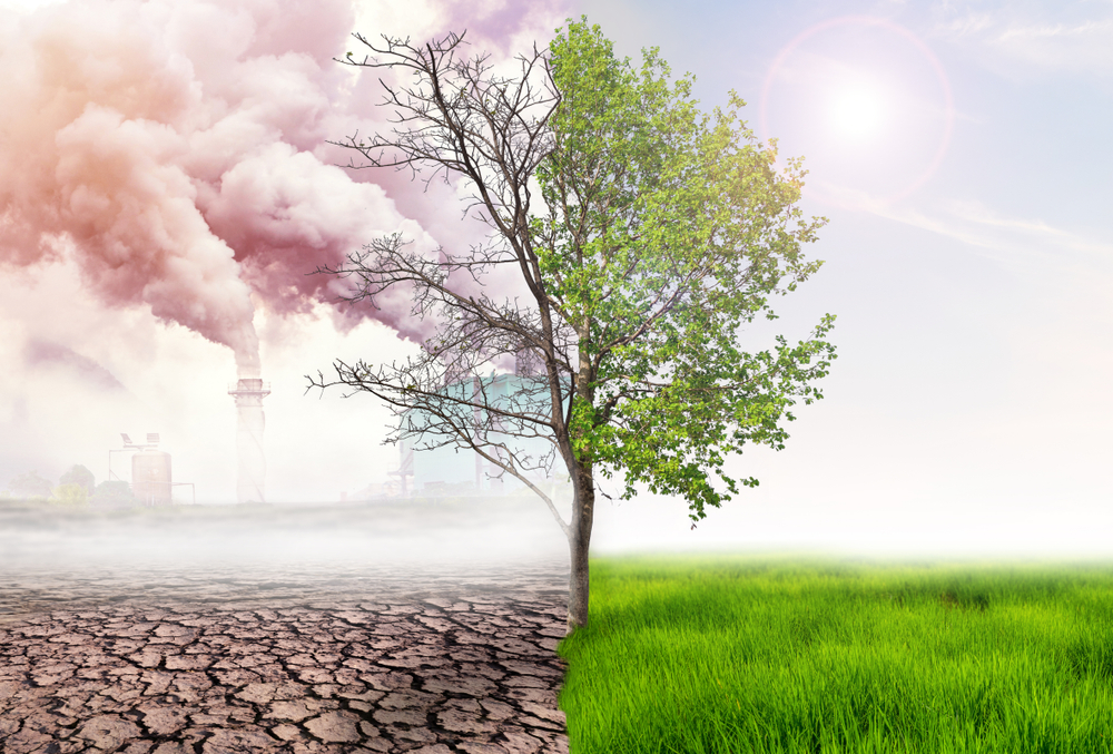 Quali sono i principali problemi ambientali del 2022?