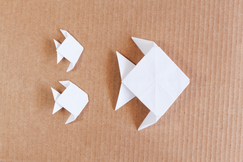 Origami facile: pesce tropicale in pochi passaggi