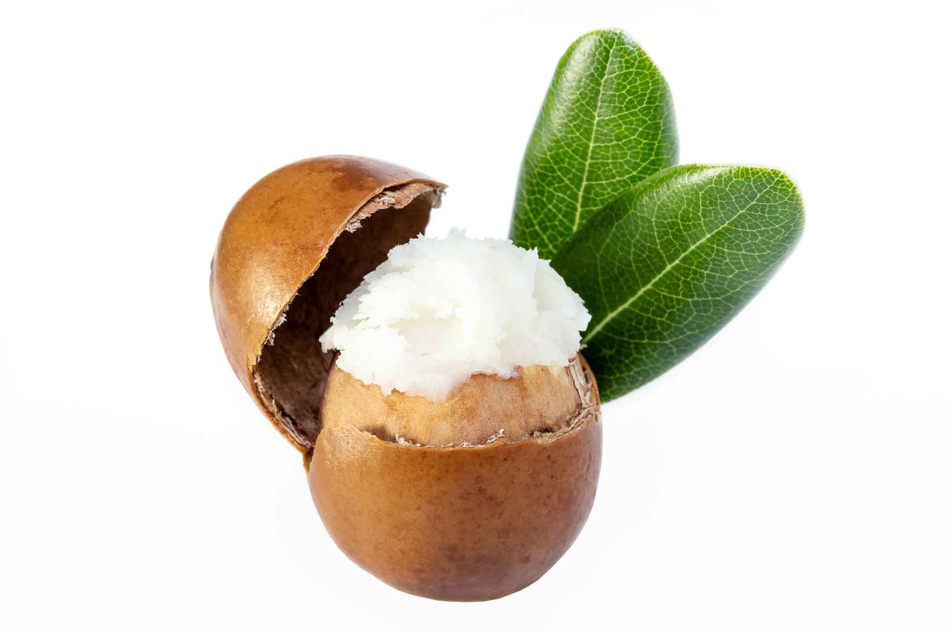 Cos'è il karité e da dove arriva