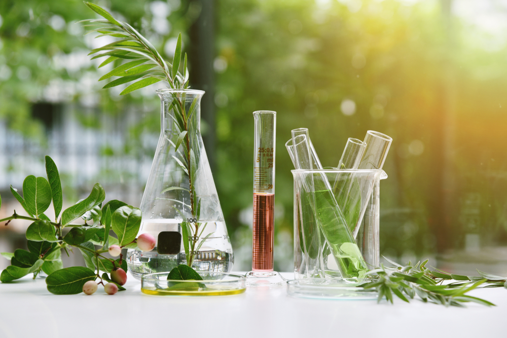 Come sapere se i cosmetici sono davvero biologici