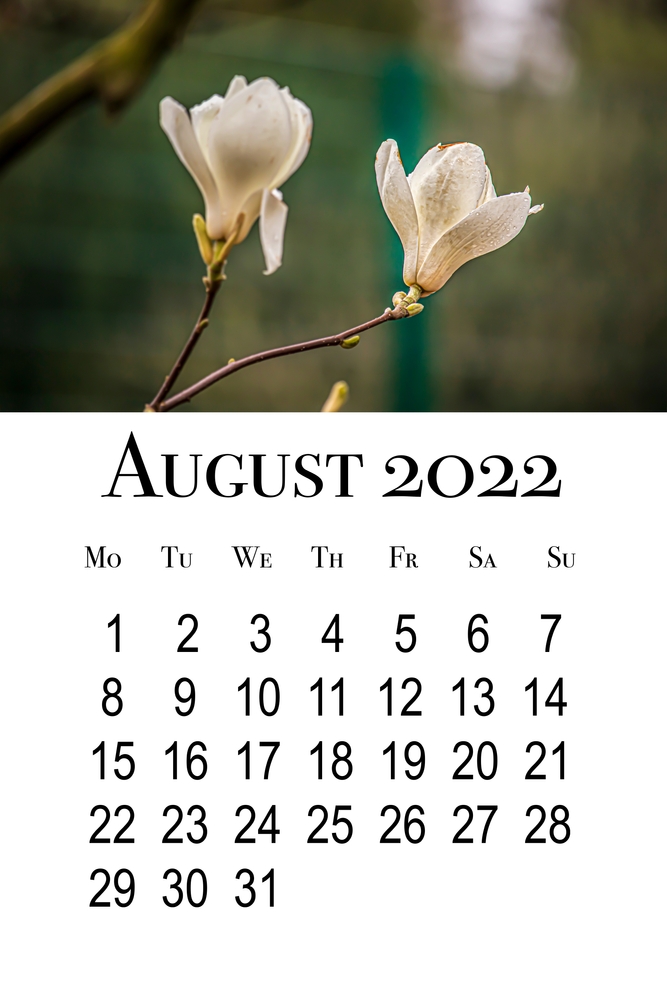 calendario-agosto-2022-da-stampare-3.jpg