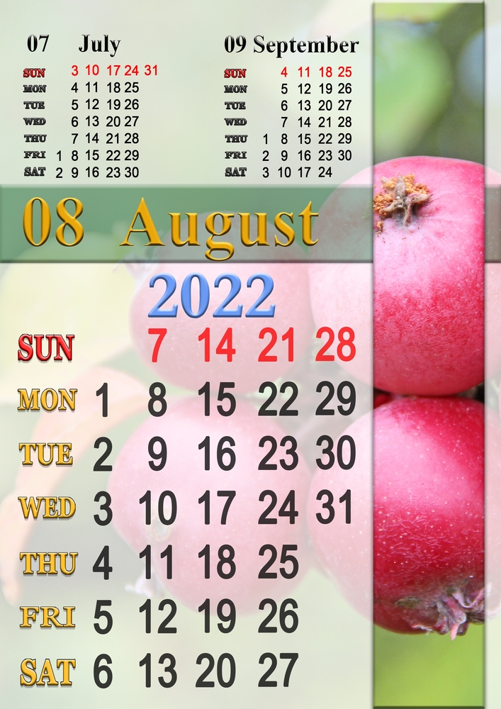 calendario-agosto-2022-da-stampare-6.jpg
