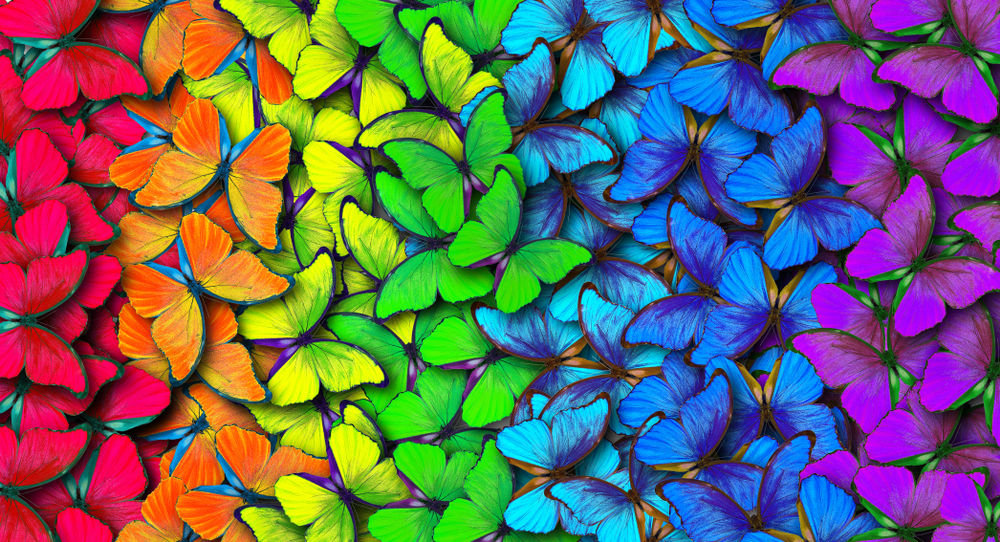 sfondi-desktop-farfalle-gratis-5.jpg