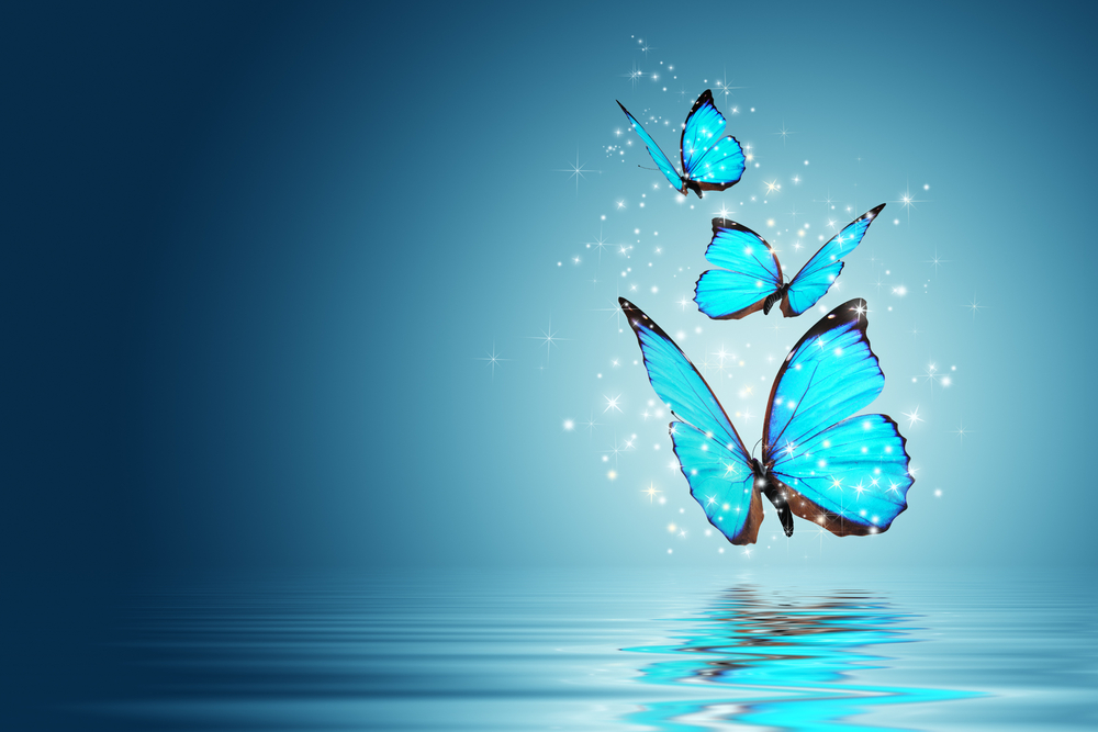 Sfondi desktop per farfalle gratis: 10 immagini bellissime