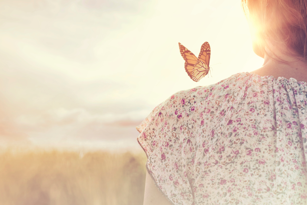 sfondi-desktop-farfalle-gratis-9.jpg