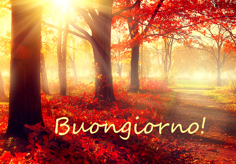 buongiorno-autunnale-immagini-4.jpg