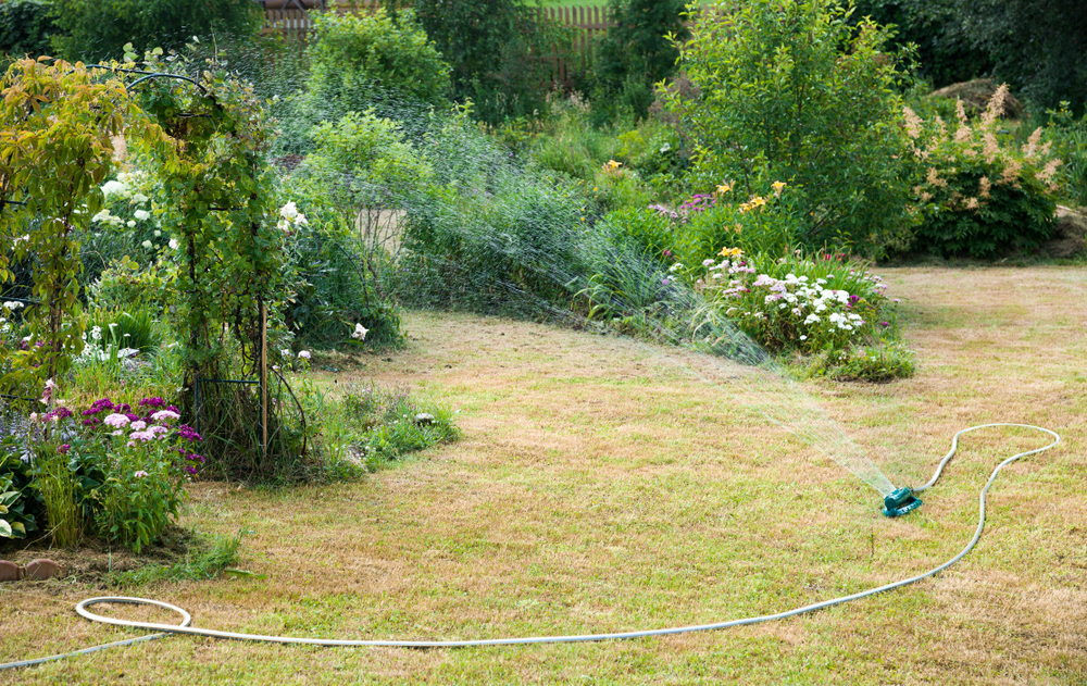 Come avere cura del giardino durante i giorni di siccità