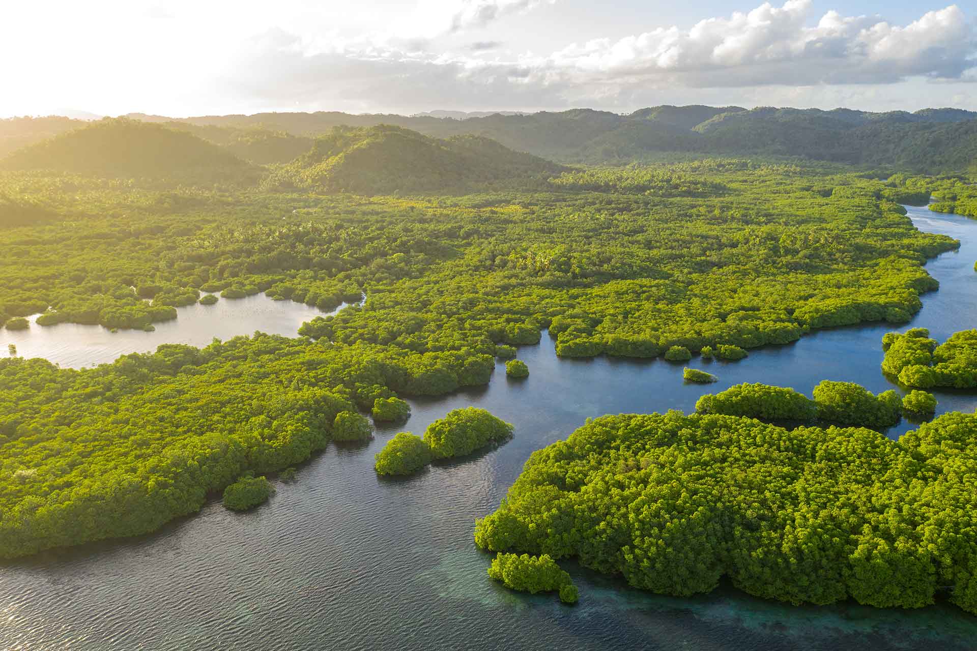 Perché l'Amazzonia è il polmone del mondo?
