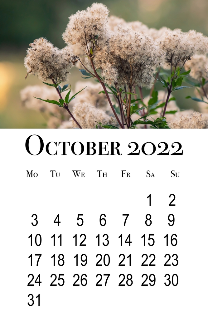 calendario-ottobre-2022-da-stampare-3.jpg