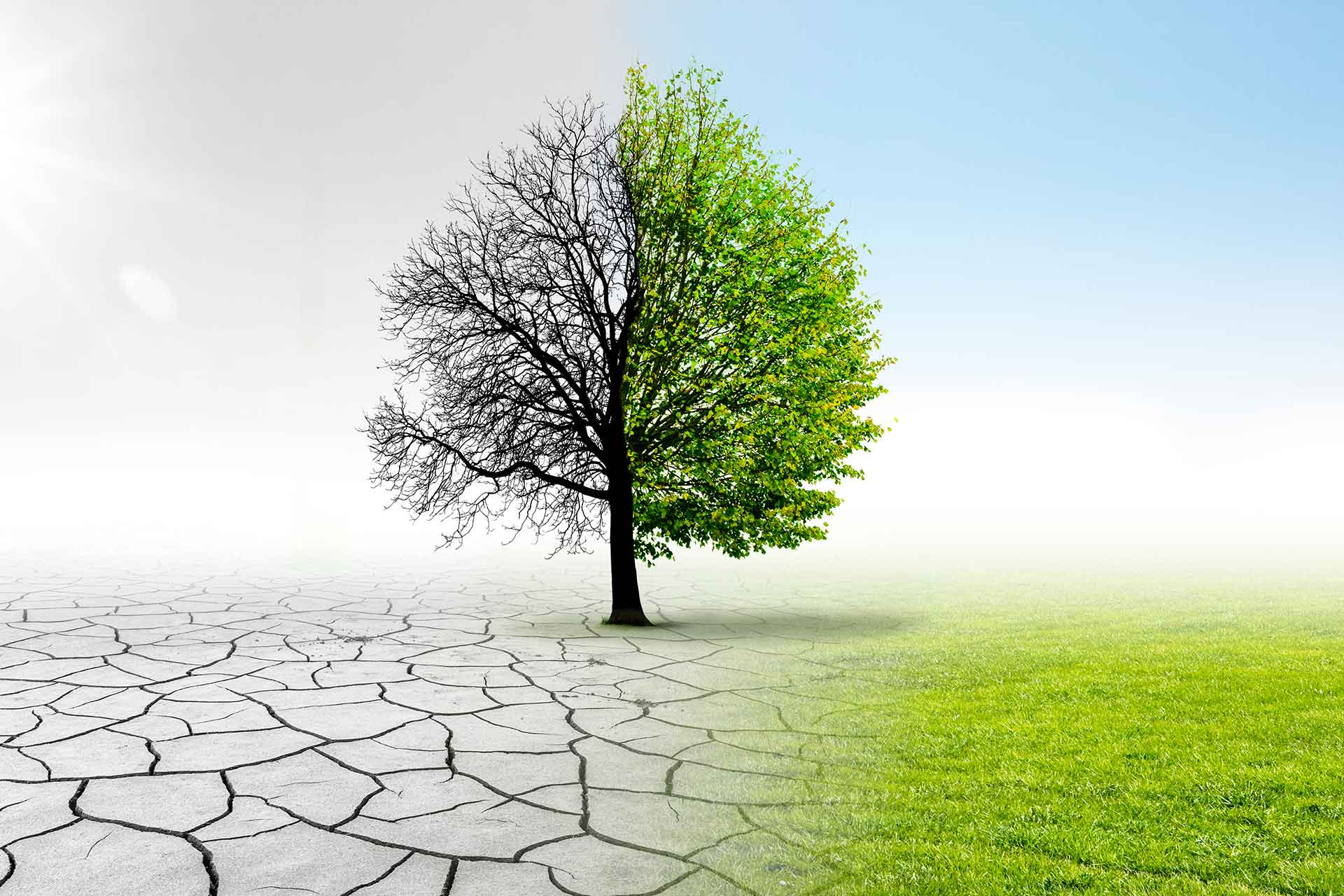 I cambiamenti climatici nella storia sono sempre esistiti?