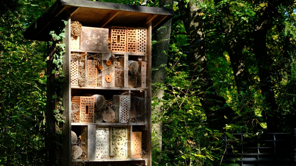 Che cosa sono i Bee Bricks di Brighton?