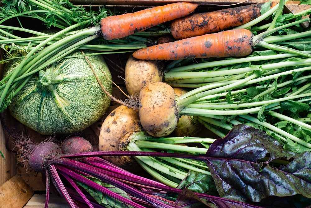 Gli alimenti autunnali che possono aiutarti a dimagrire