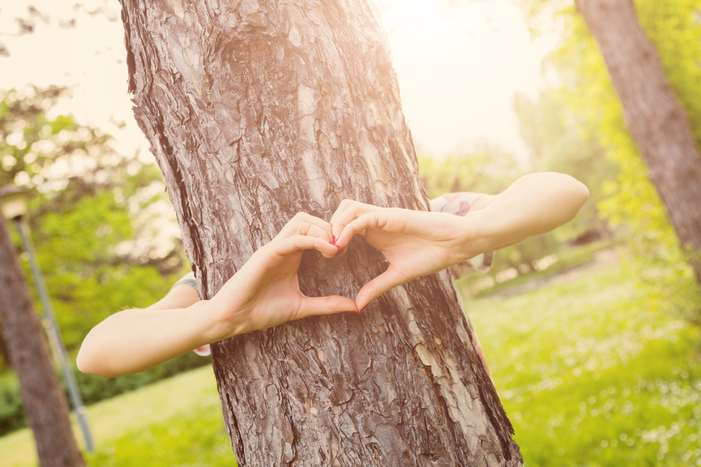 Buoni propositi per l'ambiente: 7 idee facili e realizzabili