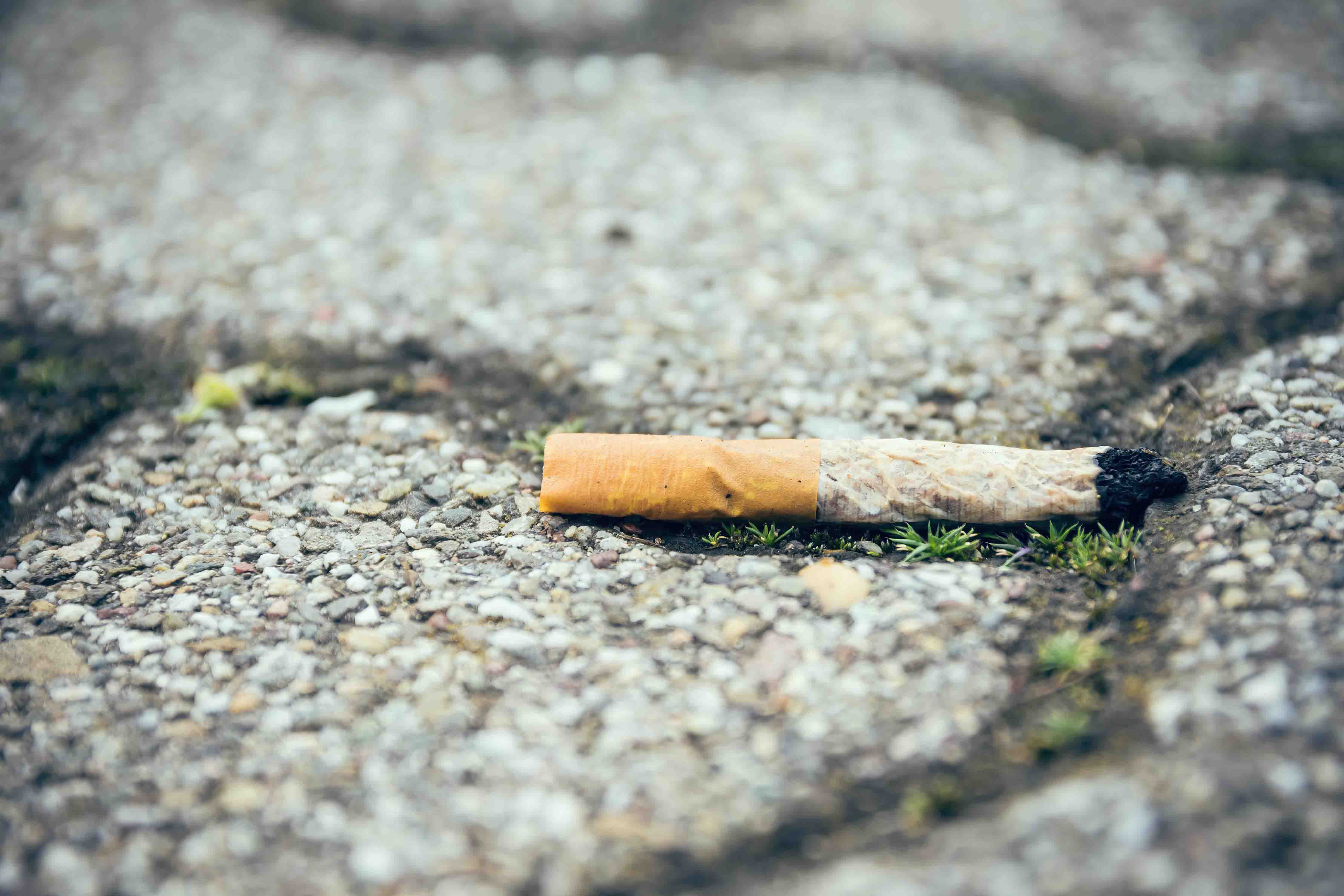 In quanto tempo si decompone una sigaretta?