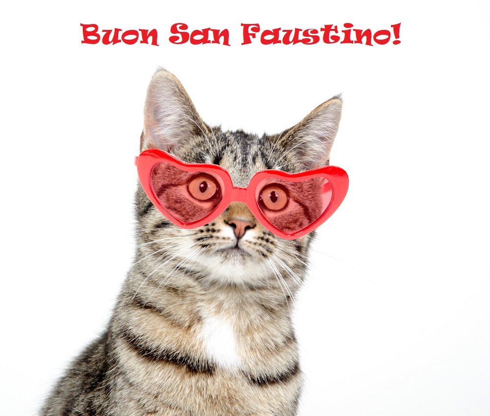san-faustino-immagini-divertenti-3.jpg