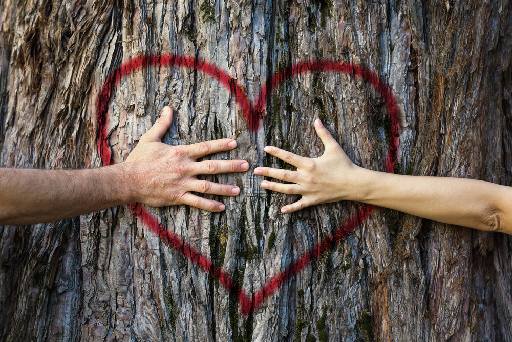 San Valentino sostenibile: 4 idee