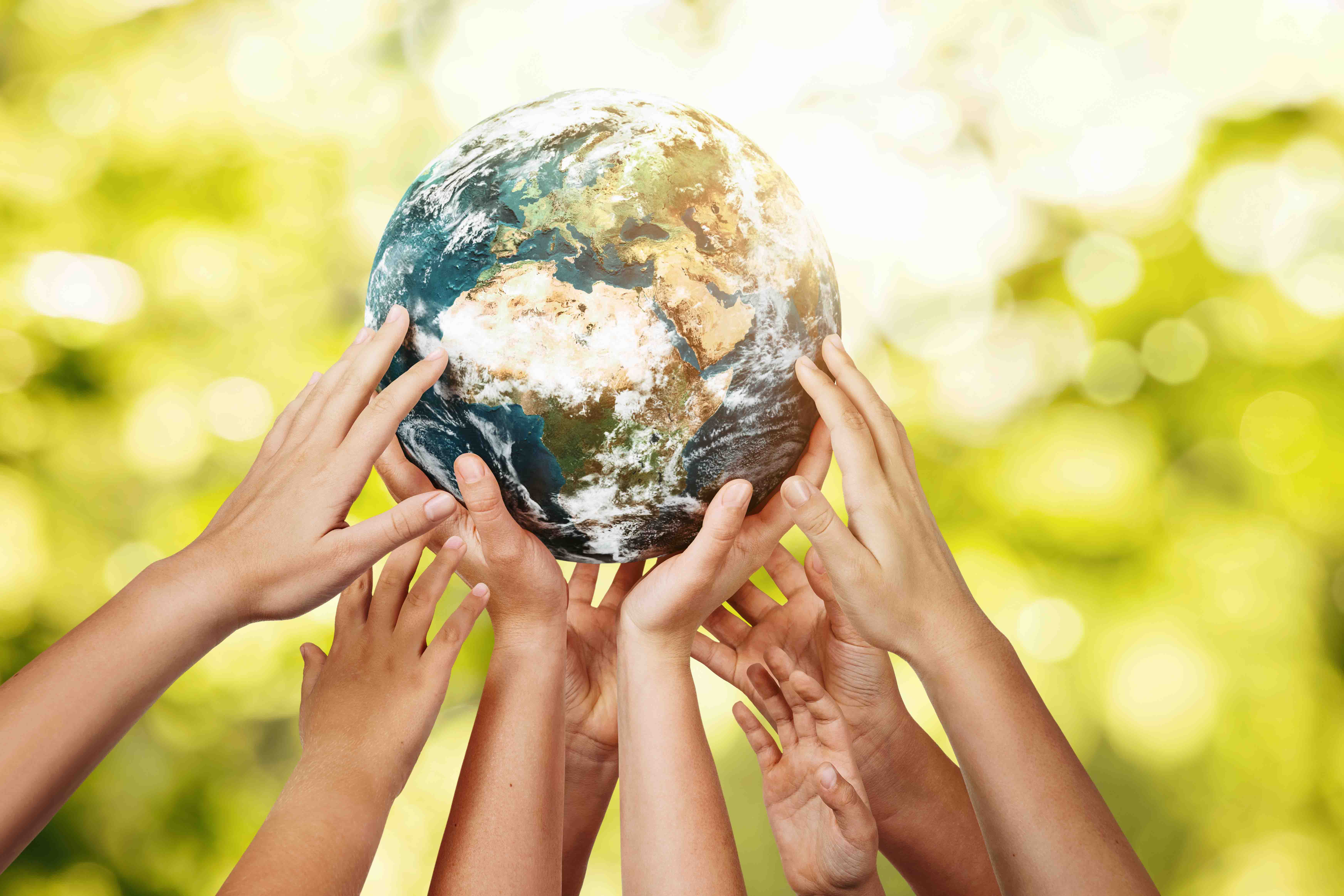 Cos'è la Carta della terra e i 4 pilastri da conoscere
