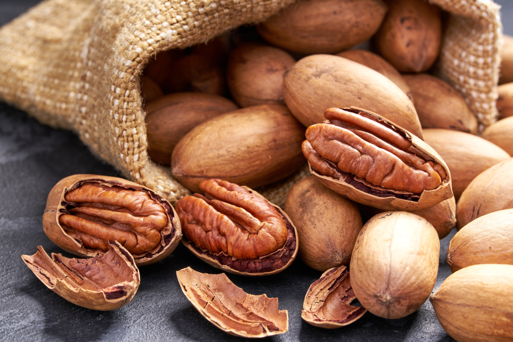 Noci pecan: proprietà e benefici per la salute