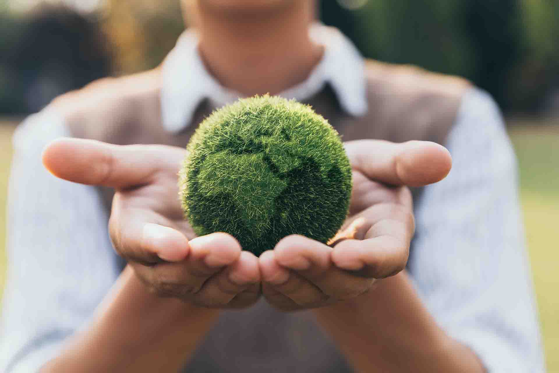 Ecologia: 10 libri da leggere subito