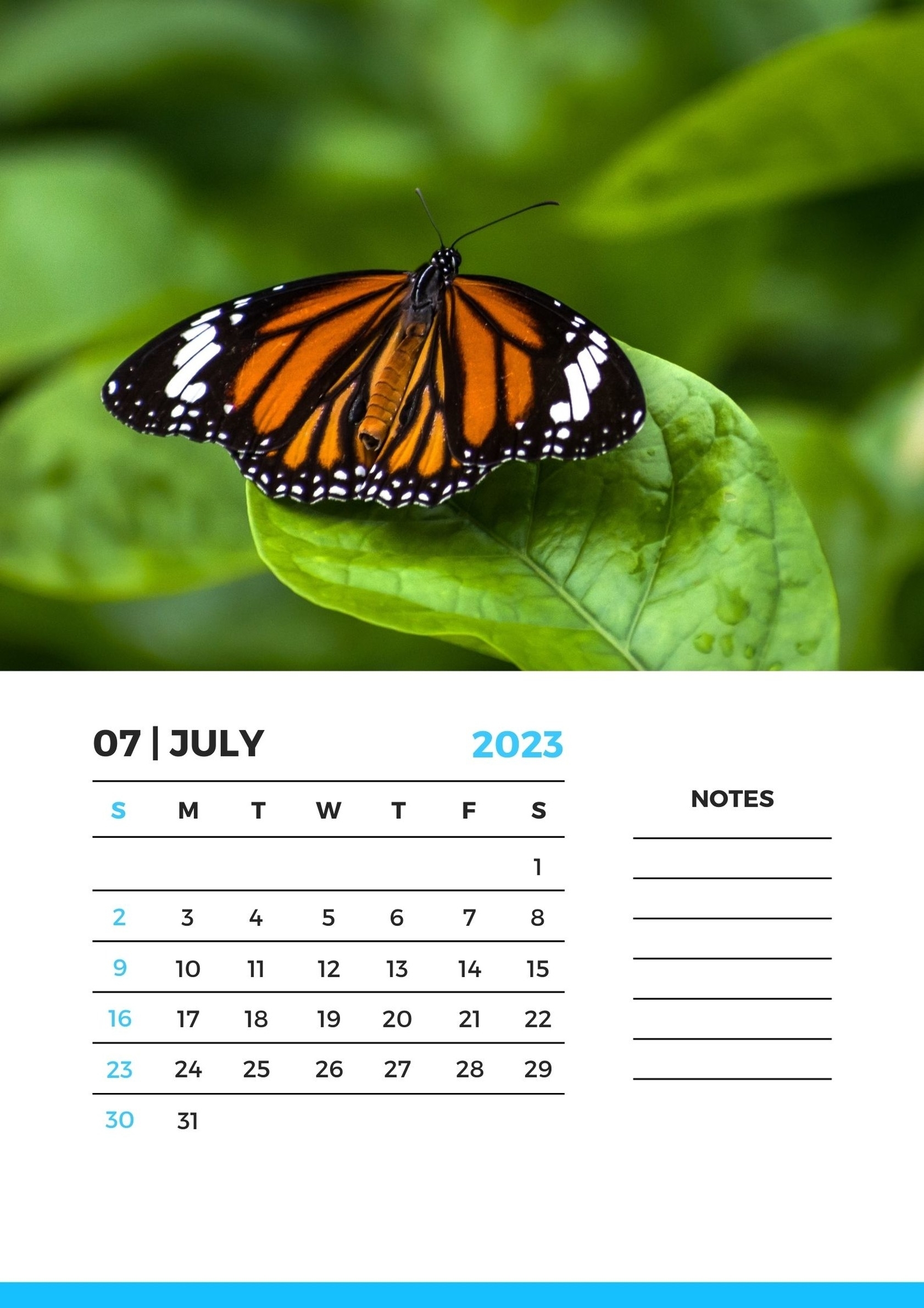 calendario-luglio-2023-da-stampare-5.jpg