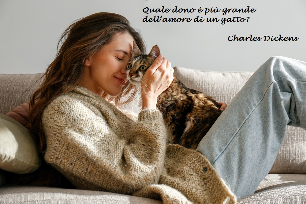 giornata-mondiale-gatto-immagini-frasi-4.jpg