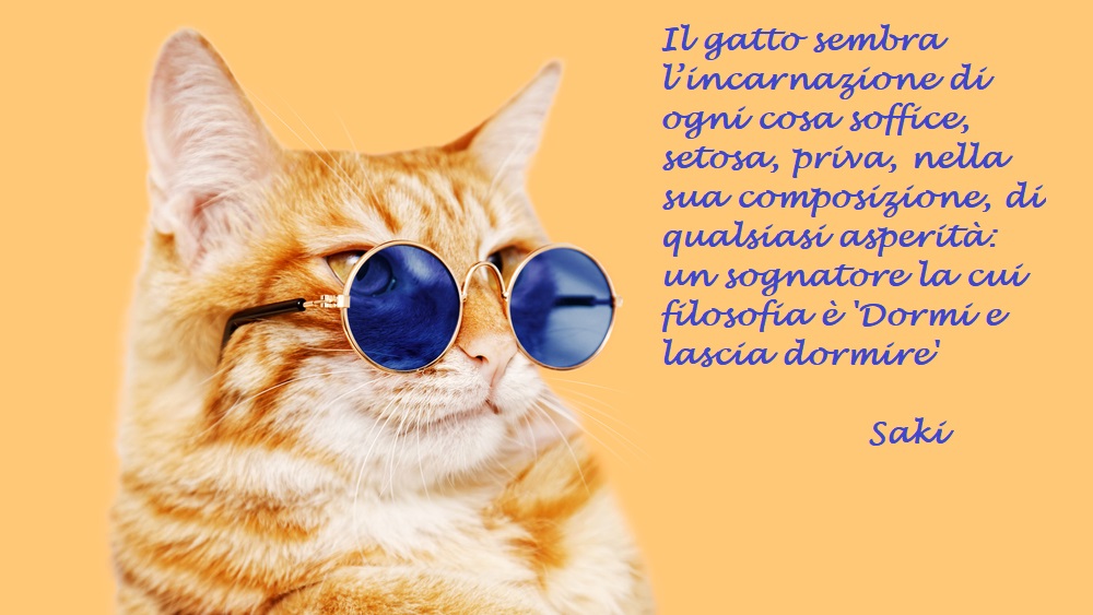 giornata-mondiale-gatto-immagini-frasi-5.jpg
