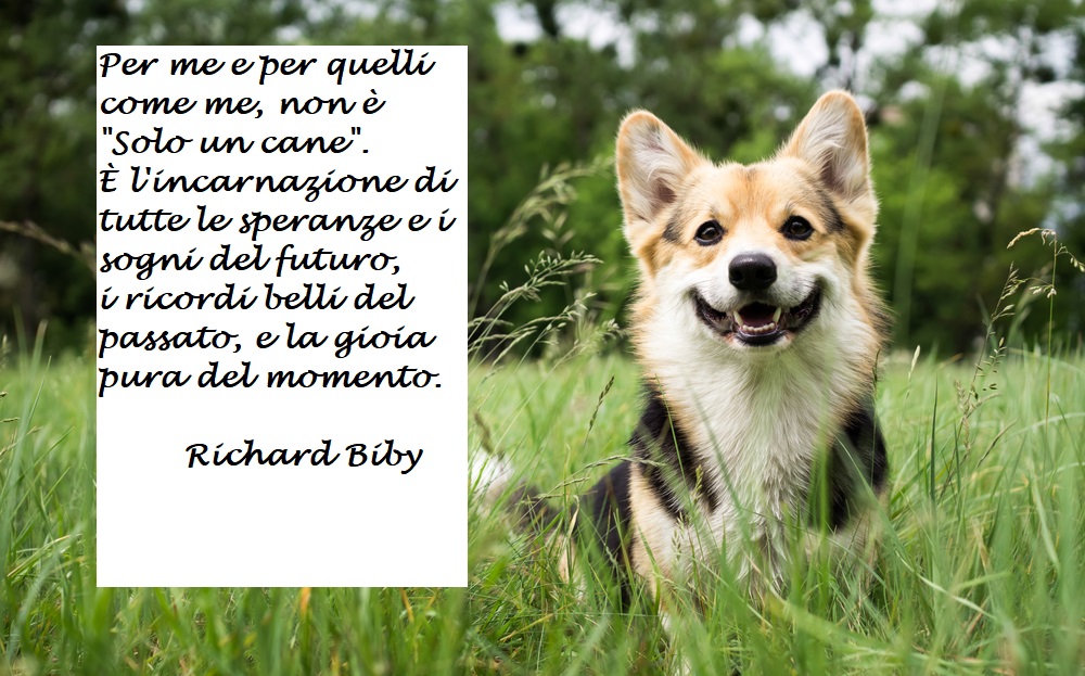 giornata-mondiale-cane-immagini-frasi-2.jpg