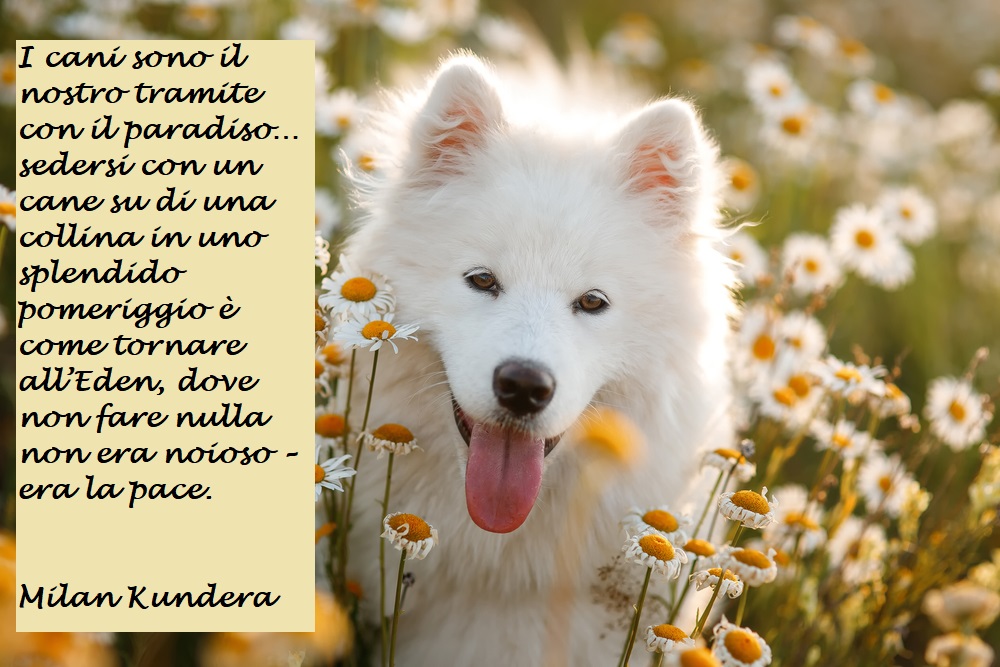 giornata-mondiale-cane-immagini-frasi-3.jpg