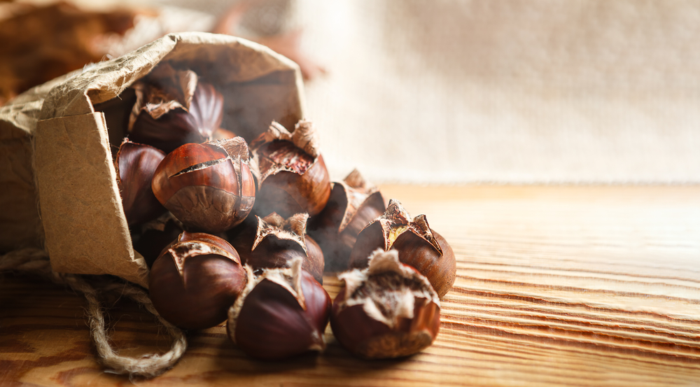 Frasi e citazioni sulle castagne più belle e poetiche