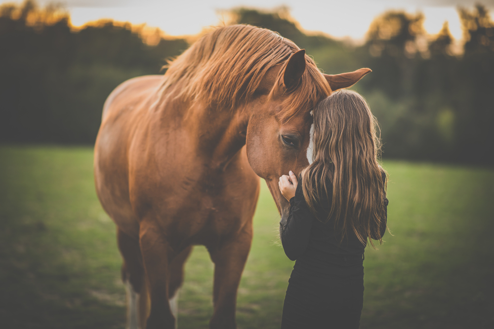 Quali sono i vaccini di cui il cavallo ha bisogno