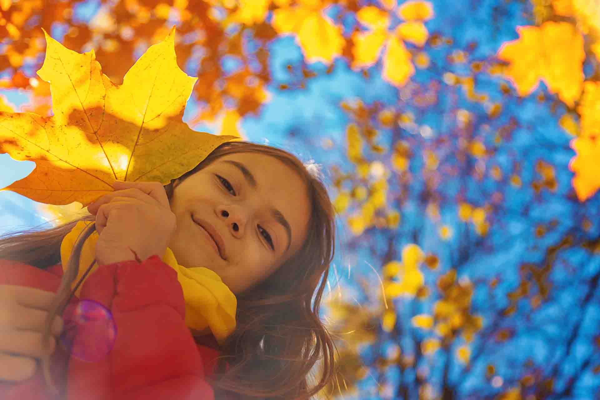 Aforismi sull'autunno: i più spettacolari