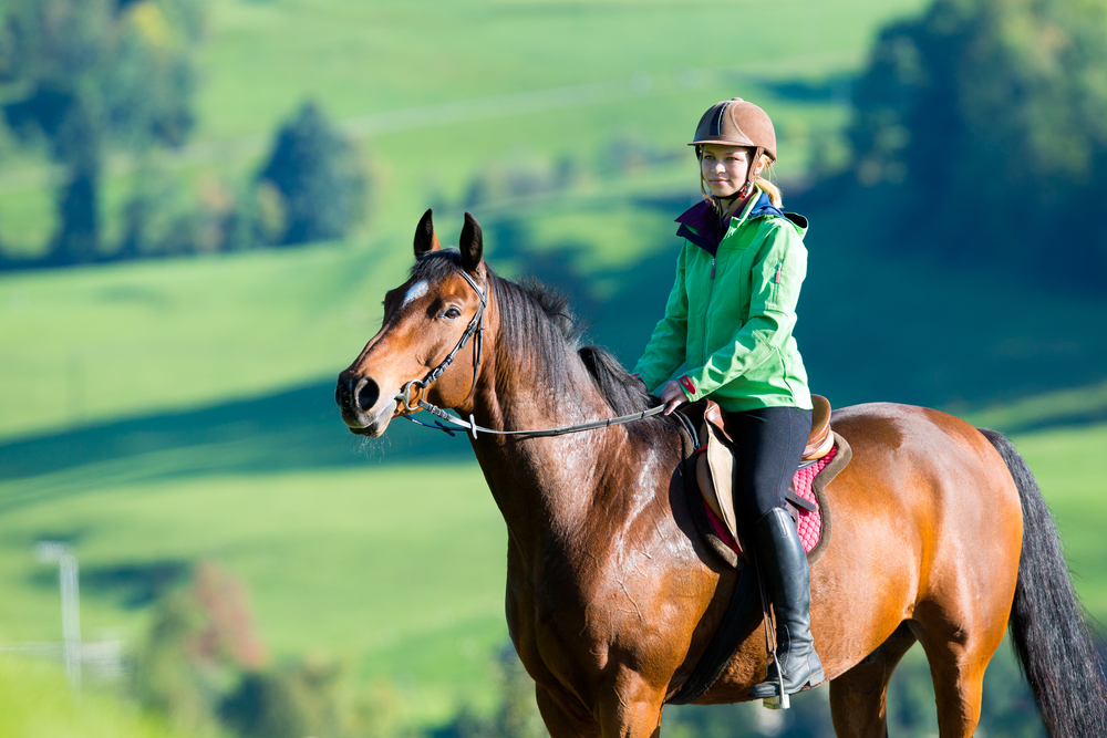 Che cos'è l'ippoterapia e perché il cavallo è un amico importante