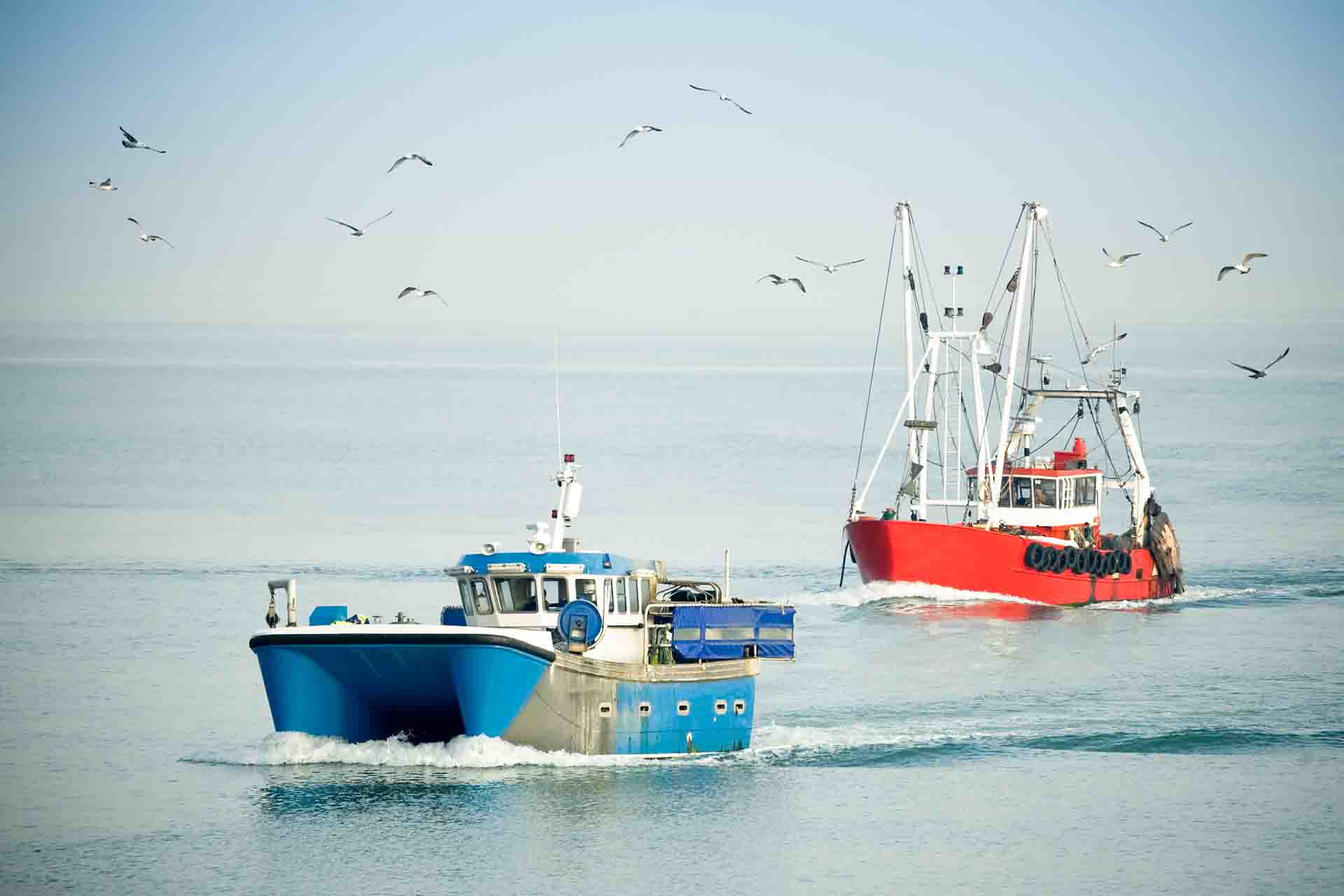 Le 8 regole per una pesca sostenibile