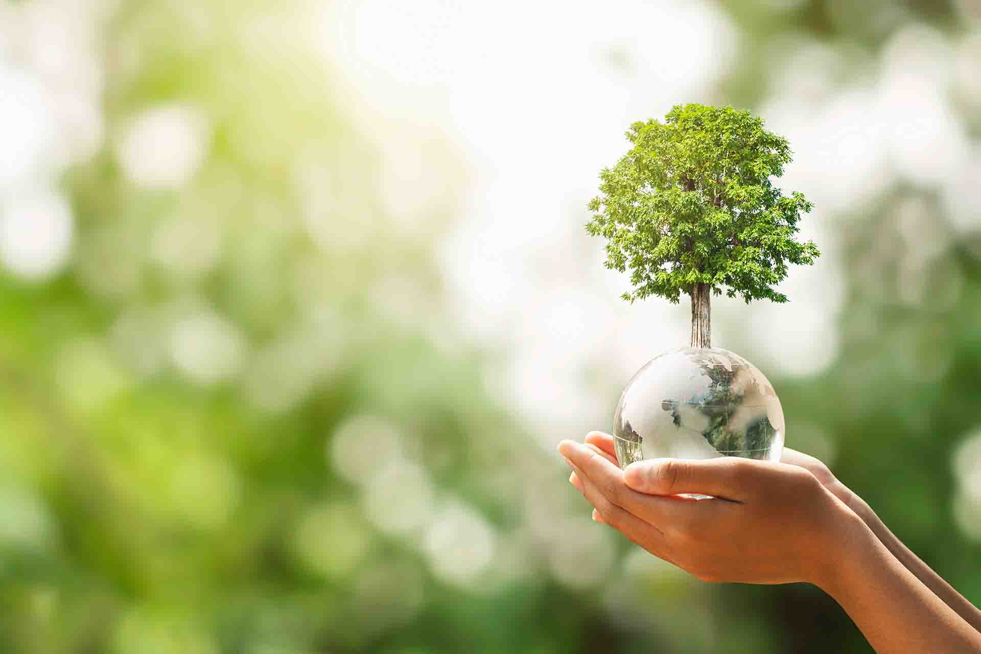 20 piccole azioni che aiutano il pianeta