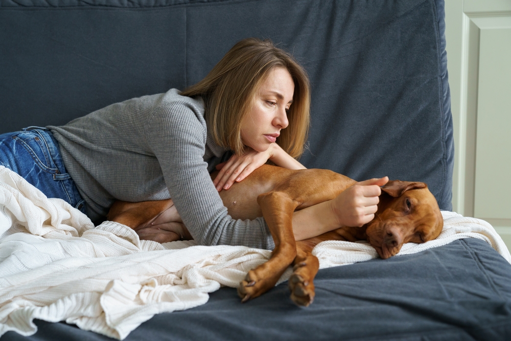 Eutanasia per gli animali domestici