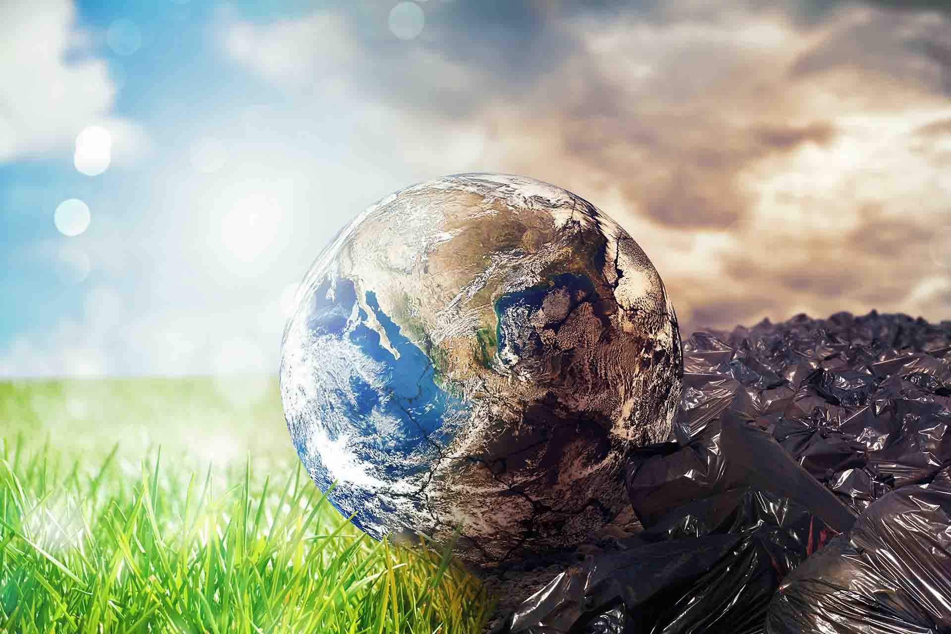Cosa rovina l'ambiente
