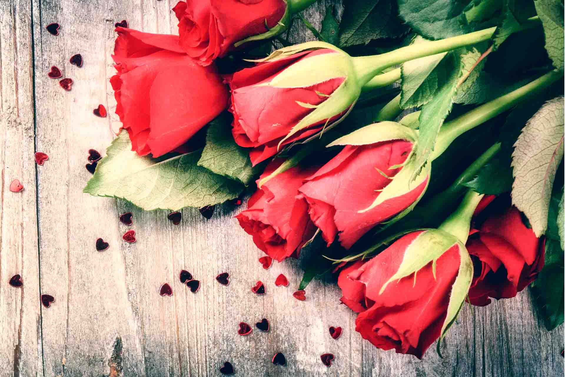 Quali fiori per San Valentino regalare