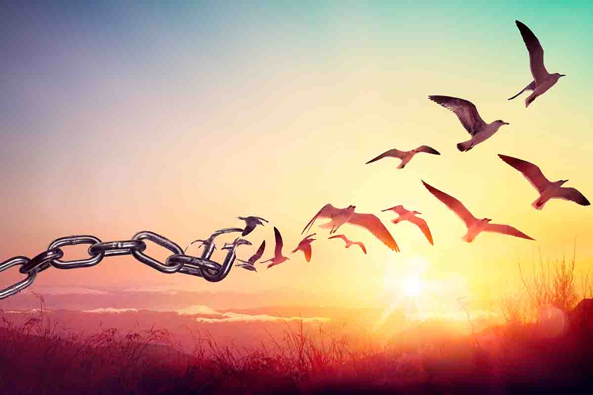 Le più belle frasi sulla libertà da condividere
