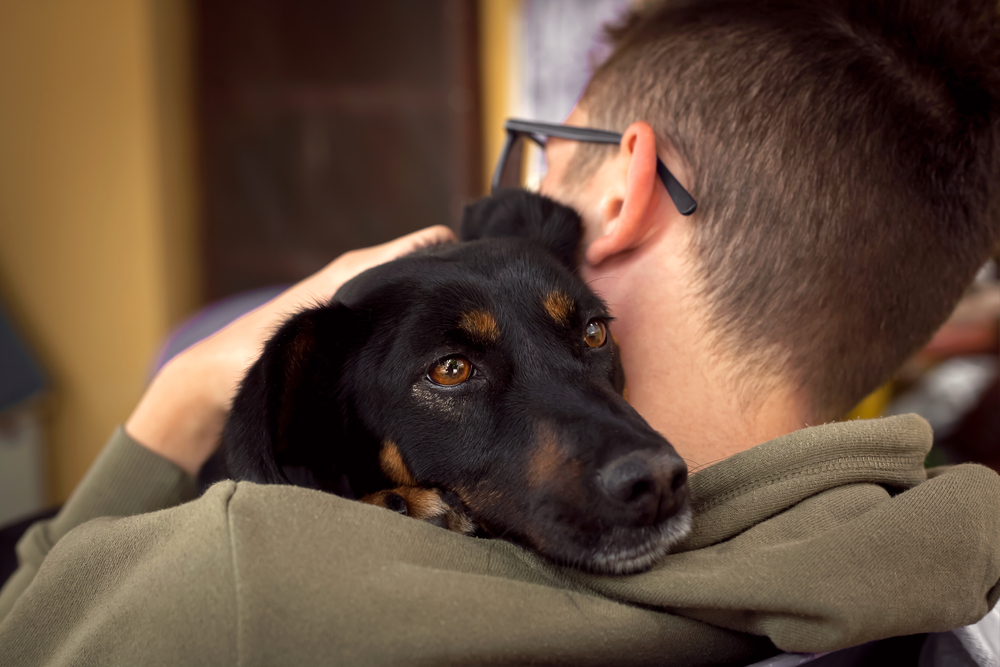 Ansia da separazione nei cani: 3 consigli per aiutare il cucciolo