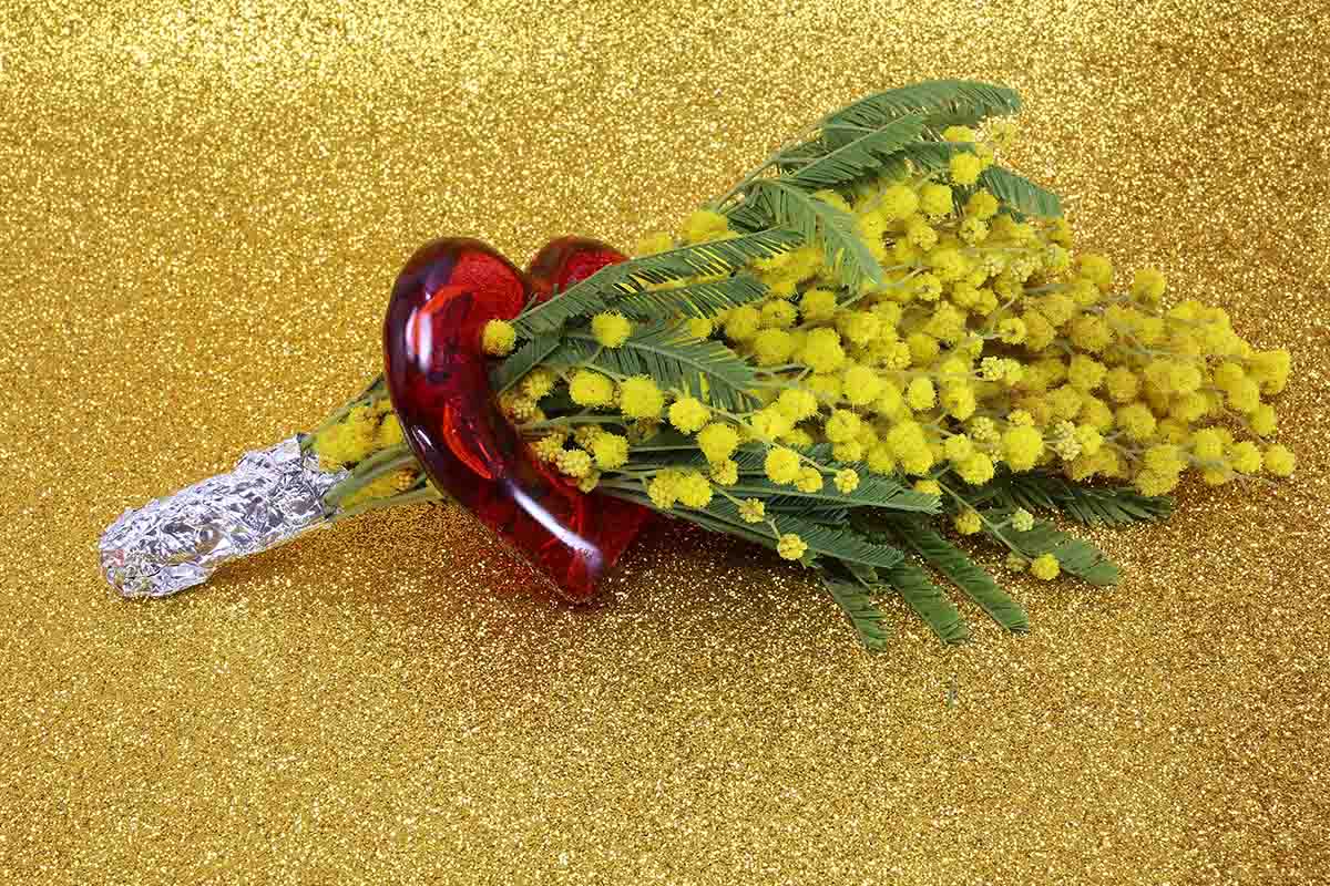 Cosa dire per la Festa della donna per fare i migliori auguri?