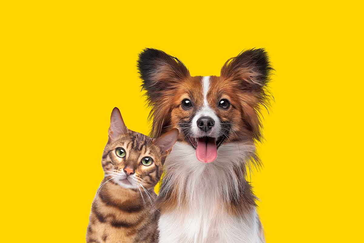 Esiste un bonus animali domestici per il 2024?