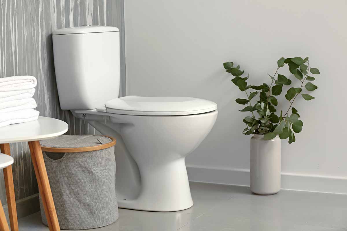 Come pulire a fondo il wc