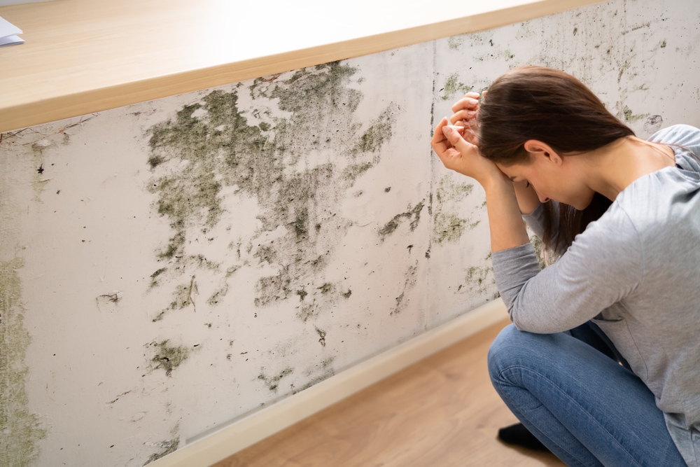 Muffa e infiltrazioni: qual è la differenza