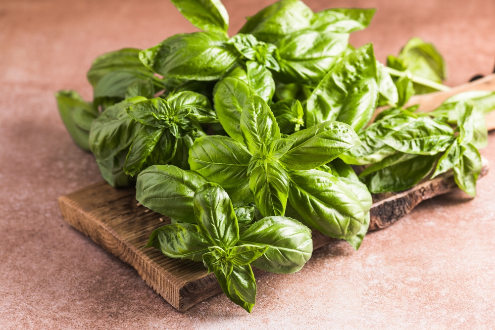 Puoi congelare le foglie di basilico?