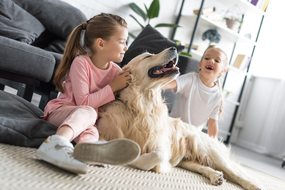 Come calcolare gli anni del cane in anni degli uomini